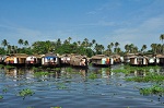 Arrival at Cochin